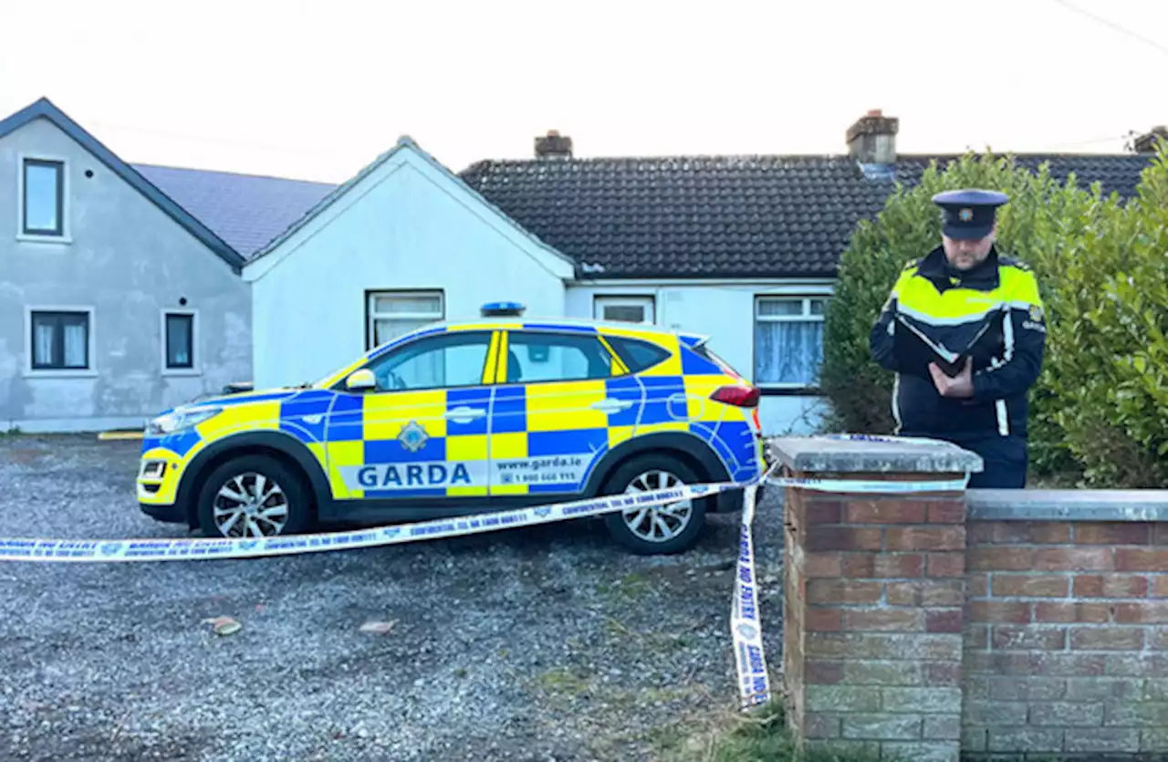 Man released without charge following fatal assault in Kildare