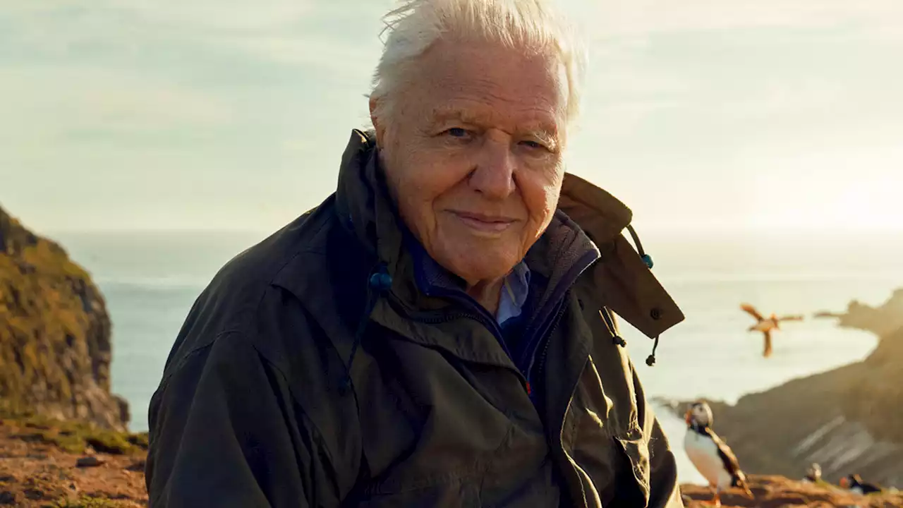 Inside Sir David Attenborough's dramatic new show which could be his last series