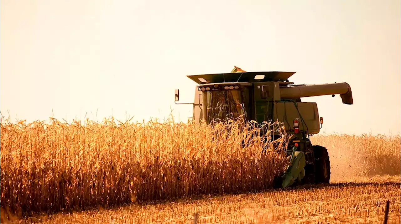 Economistas expusieron las claves para lograr el desarrollo del campo