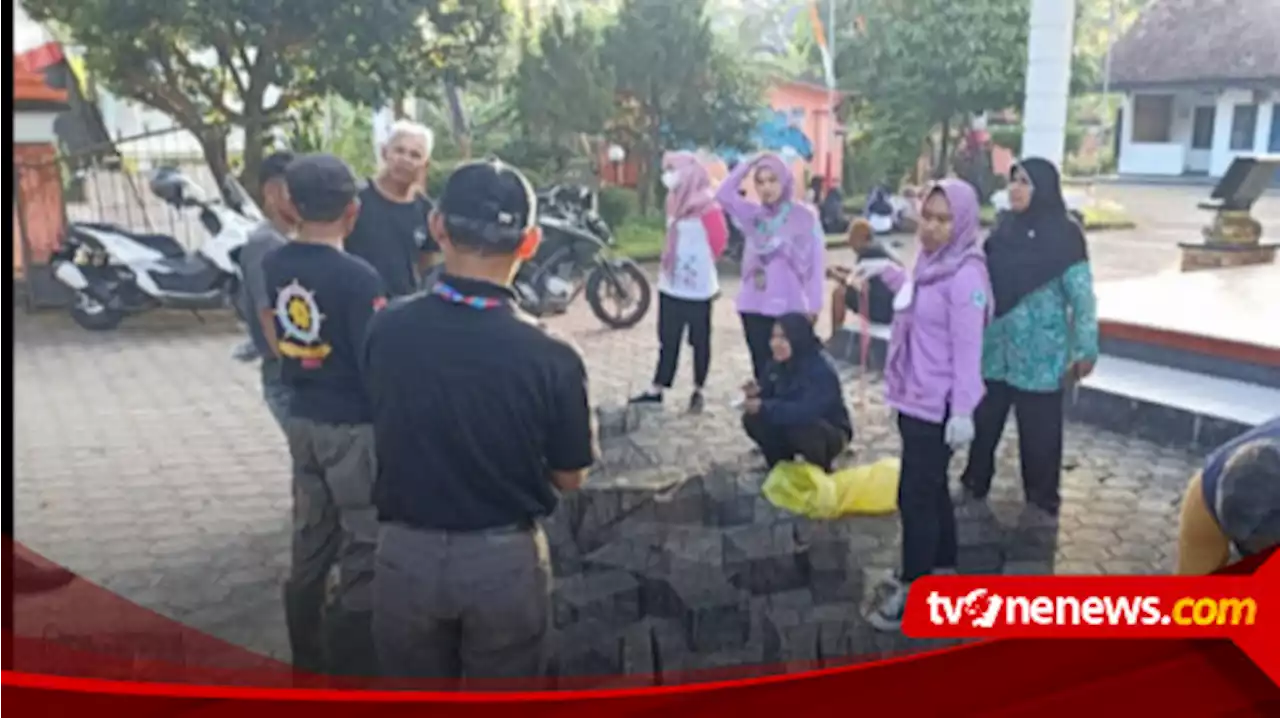 Populasi Tikus di Pacitan Meningkat, Jangan Sepelekan, Hewan Ini Pembawa Penyakit Berbahaya