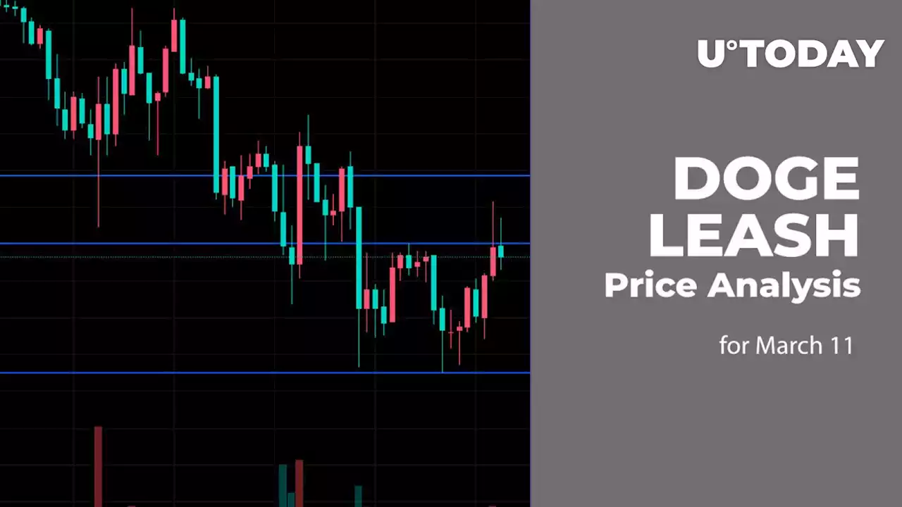 DOGE and LEASH Price Analysis for March 11