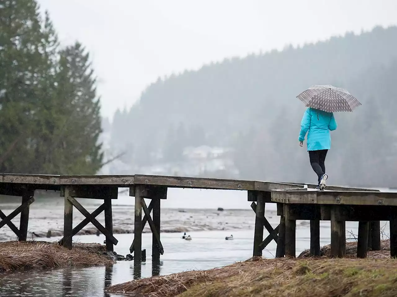 Vancouver Weather: Showers