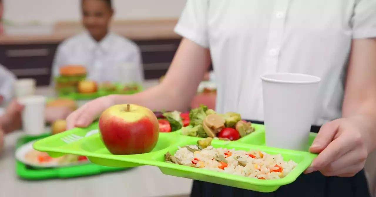 Northeast Ohio school districts head to DC to urge Congress for more school meal funding