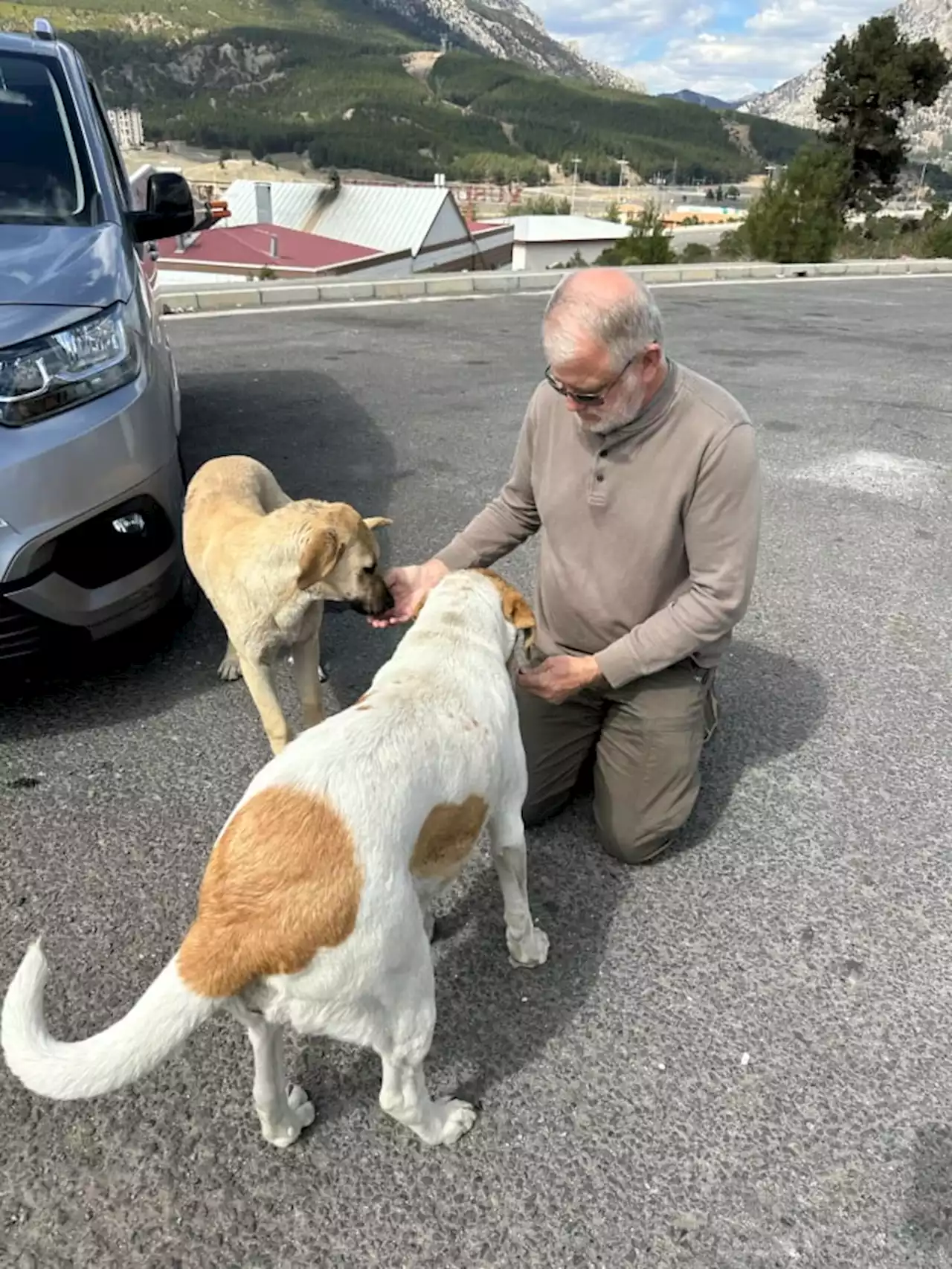 Animal advocate from St. Augustine makes trip to earthquake-ravaged Turkey, Syria