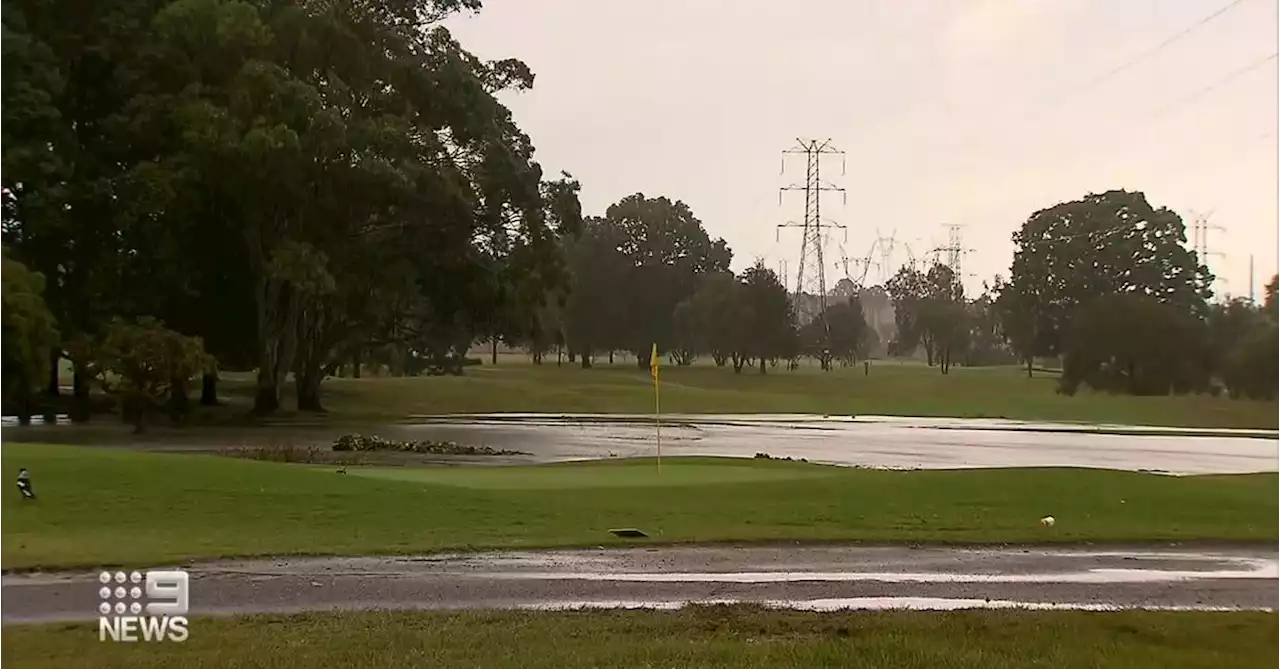 'He was gone': Golfers give CPR after man struck by lightning near Brisbane