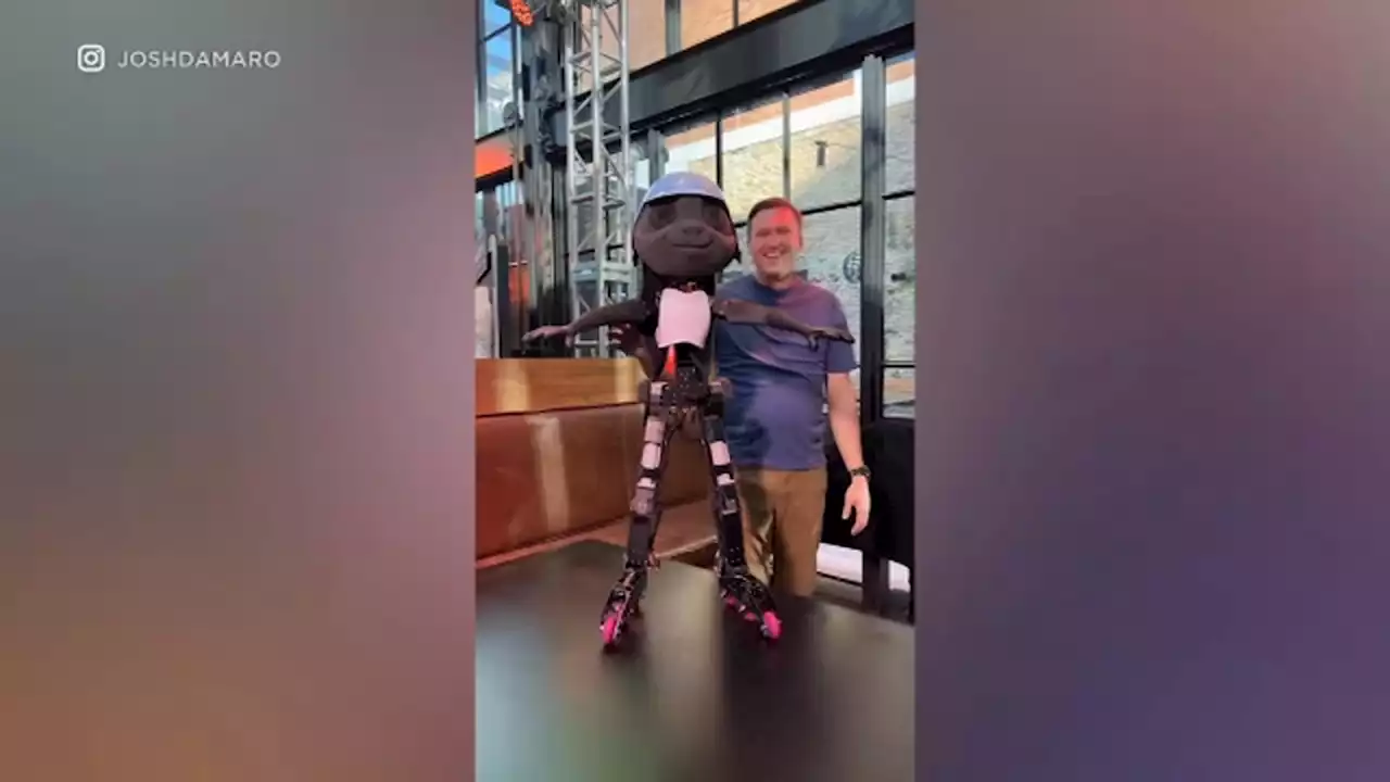 Disney's new child-sized robot can rollerblade, somersault