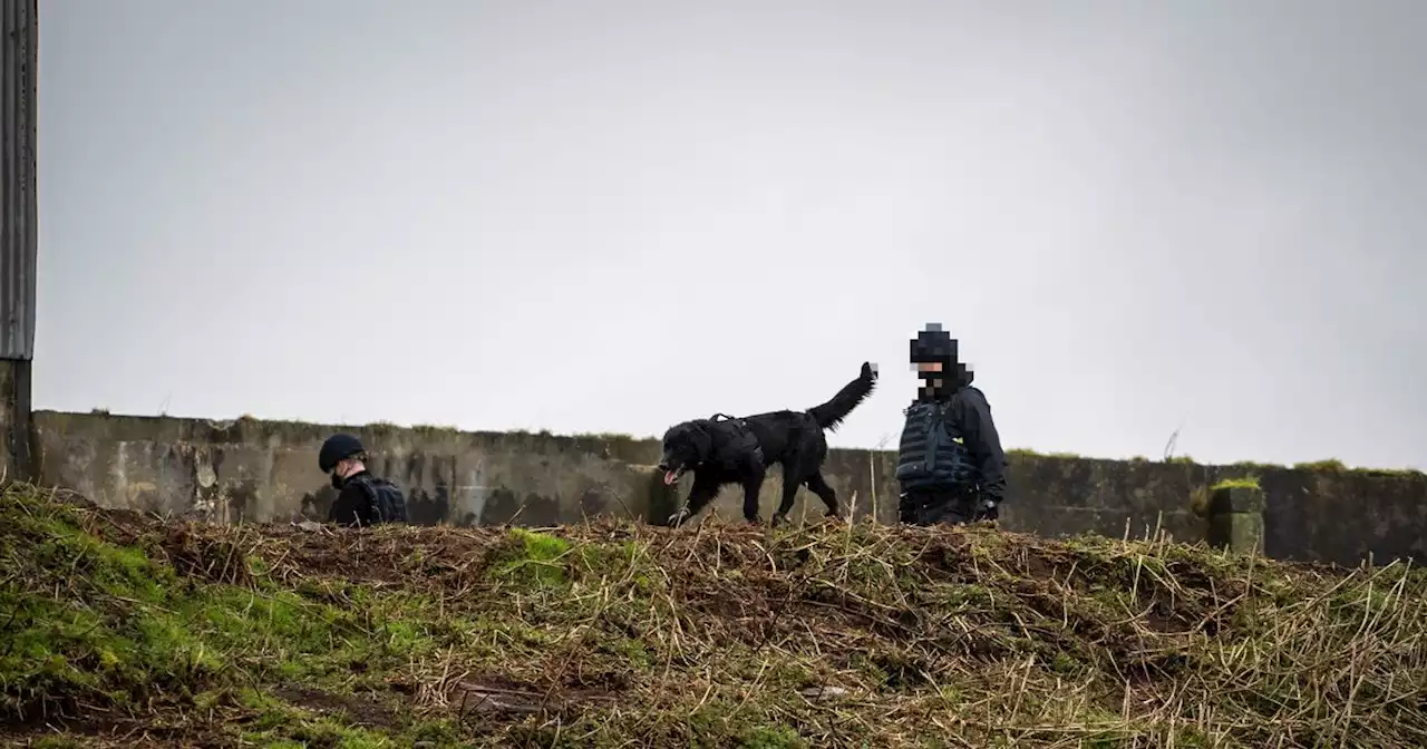 PSNI conduct searches linked to 'violent dissident republican activity'