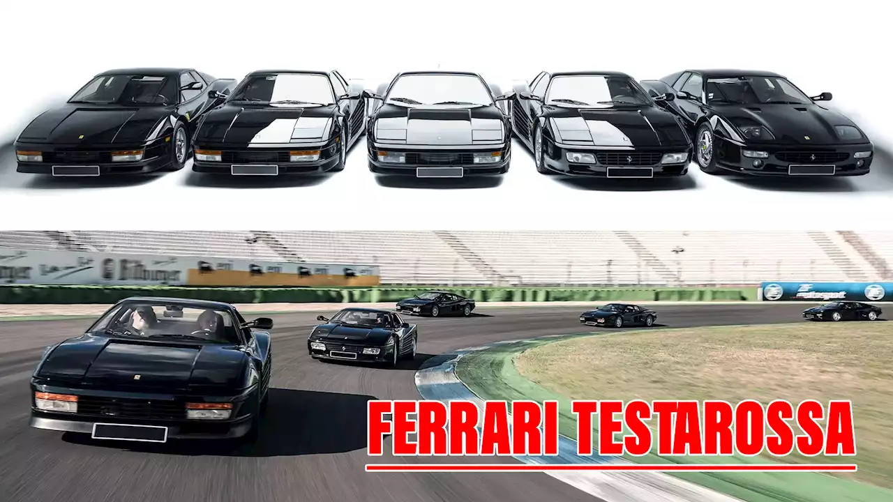 Celebrate The Ferrari Testarossa With Stunning Collection Of Five 'Black On Black' Examples | Carscoops