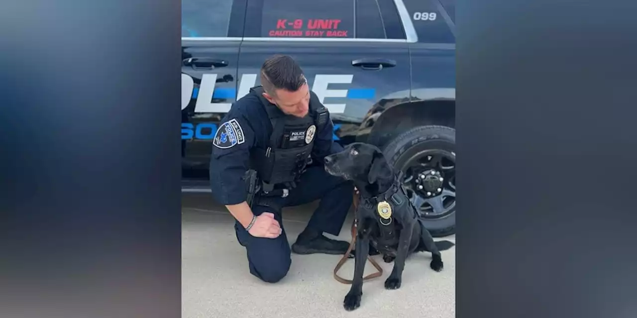 ‘We will miss you’: Police K-9 dies after recent cancer diagnosis