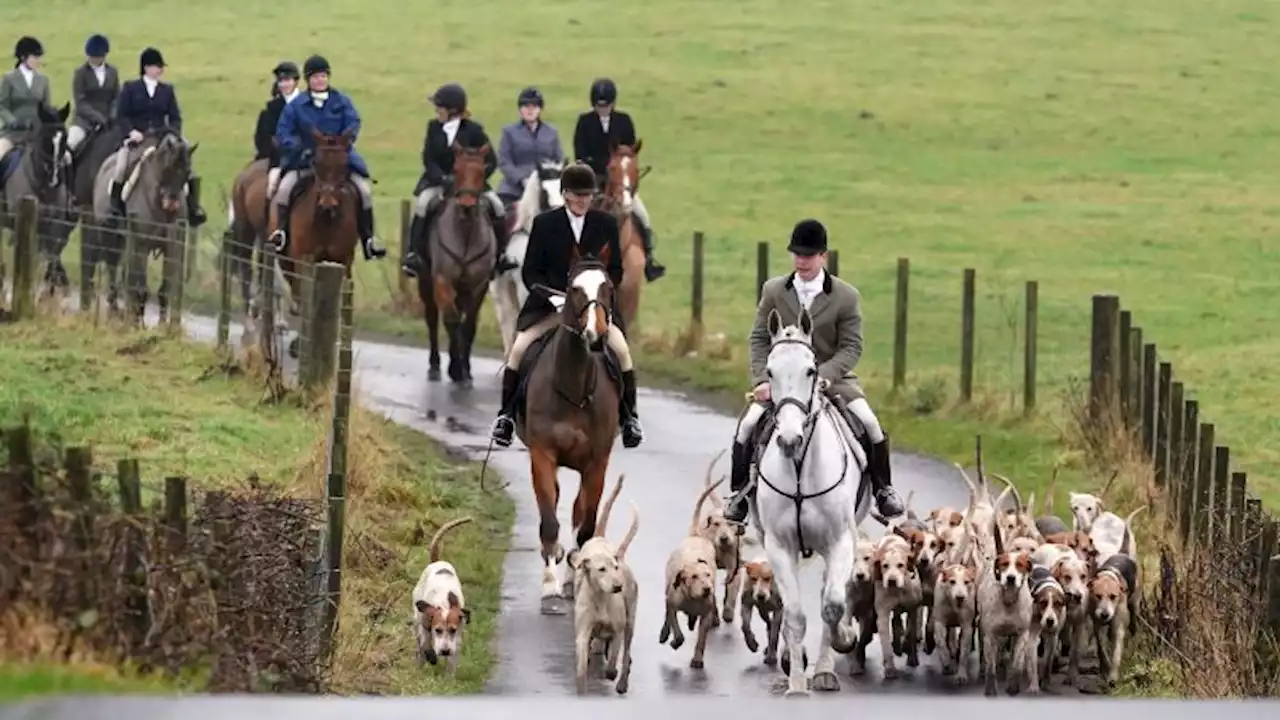 Fox hunting club that first met in the 1700s holds last meet after new law | CNN