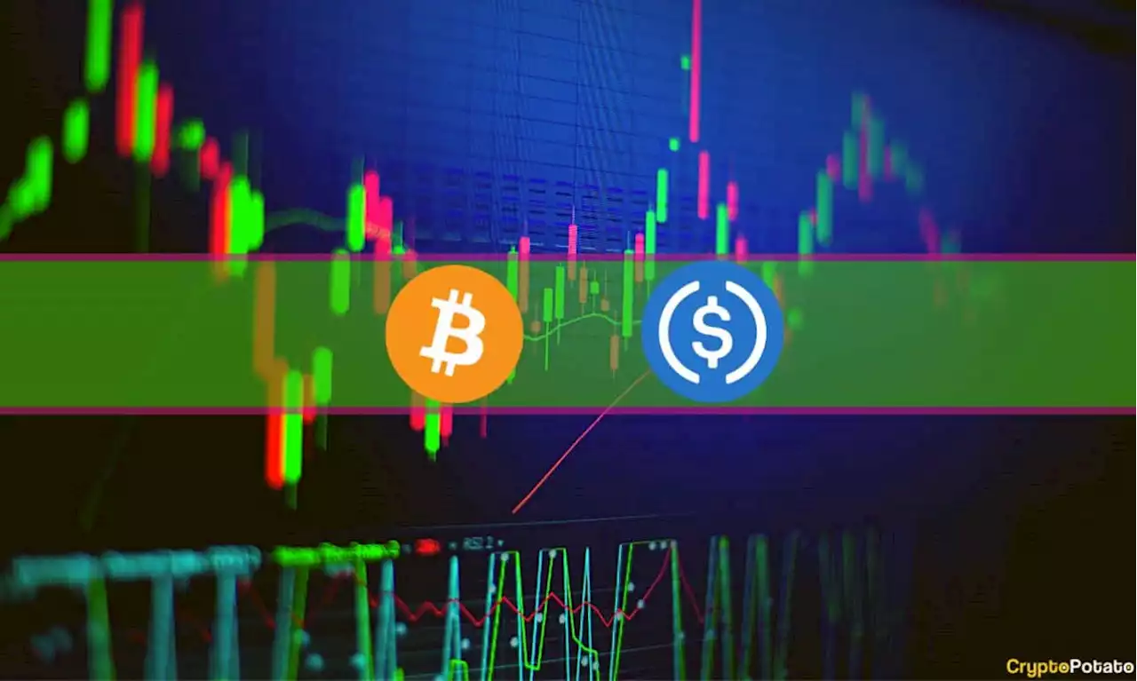 USDC Recovers to $0.95, Bitcoin Reclaims the $20K Mark (Weekend Watch)