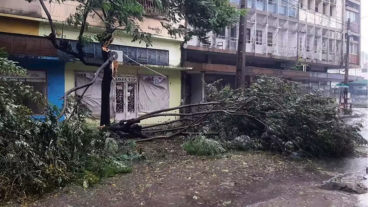 High winds pummel Mozambique, killing one, as cyclone Freddy nears