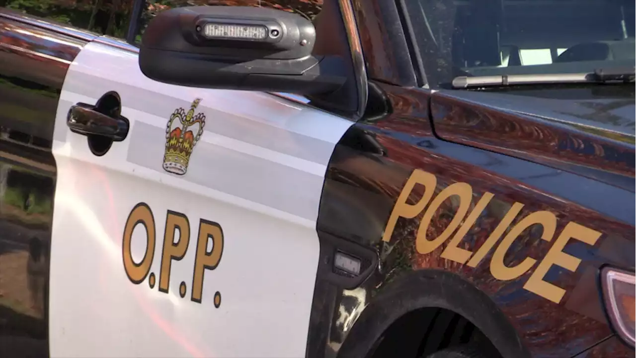 OPP warns thieves using AirTags to attempt to steal vehicles in eastern Ontario