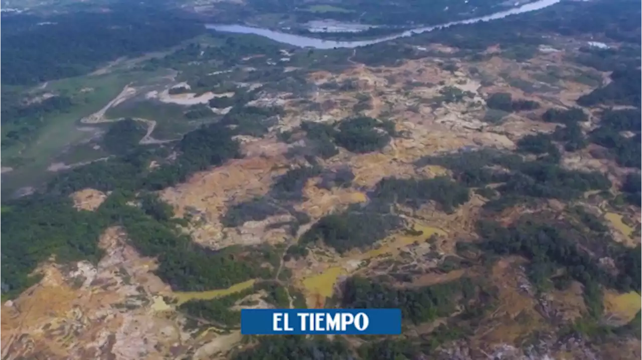 El crítico panorama que dejó al descubierto el paro minero en Antioquia