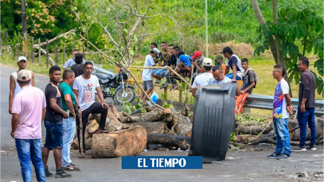 Protesta social: en promedio, han estallado en 2023 casi cuatro casos al día