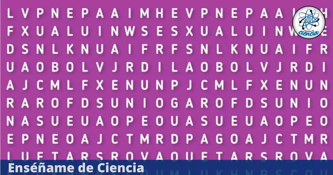 Halla la palabra “DRAGÓN” en la sopa de letras; Supera el acertijo visual en tiempo récord