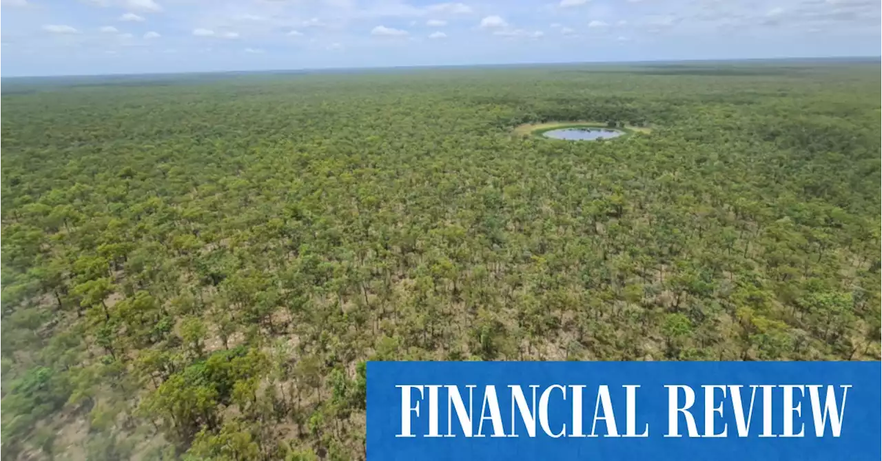 Carbon farming pioneer builds $130m cattle station portfolio