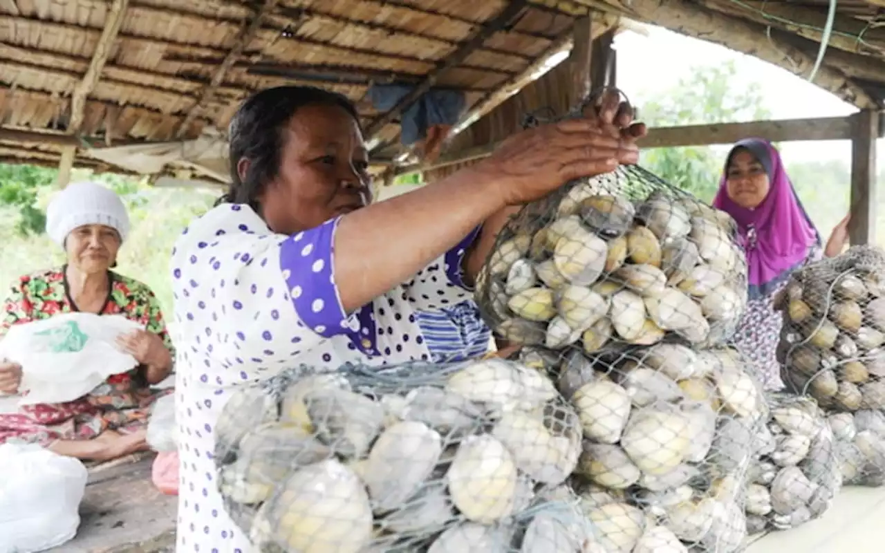 Utama usahawan Orang Asli, bukan beri projek pada ‘orang luar’, kerajaan diberitahu