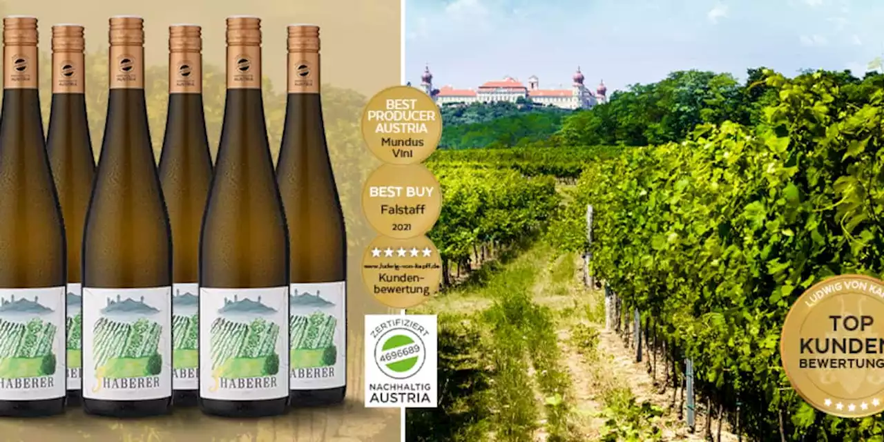 6er-Paket Weißwein von einem der besten Produzenten Österreichs für nur 29,70 Euro