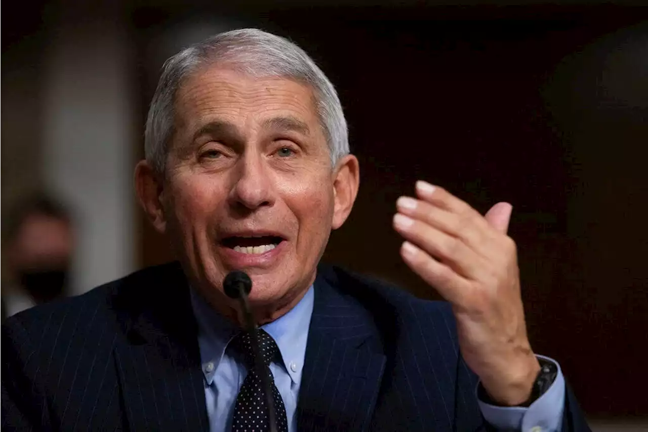 Fauci lashes out at Elon Musk over COVID claims: ‘Prosecute me for what?’