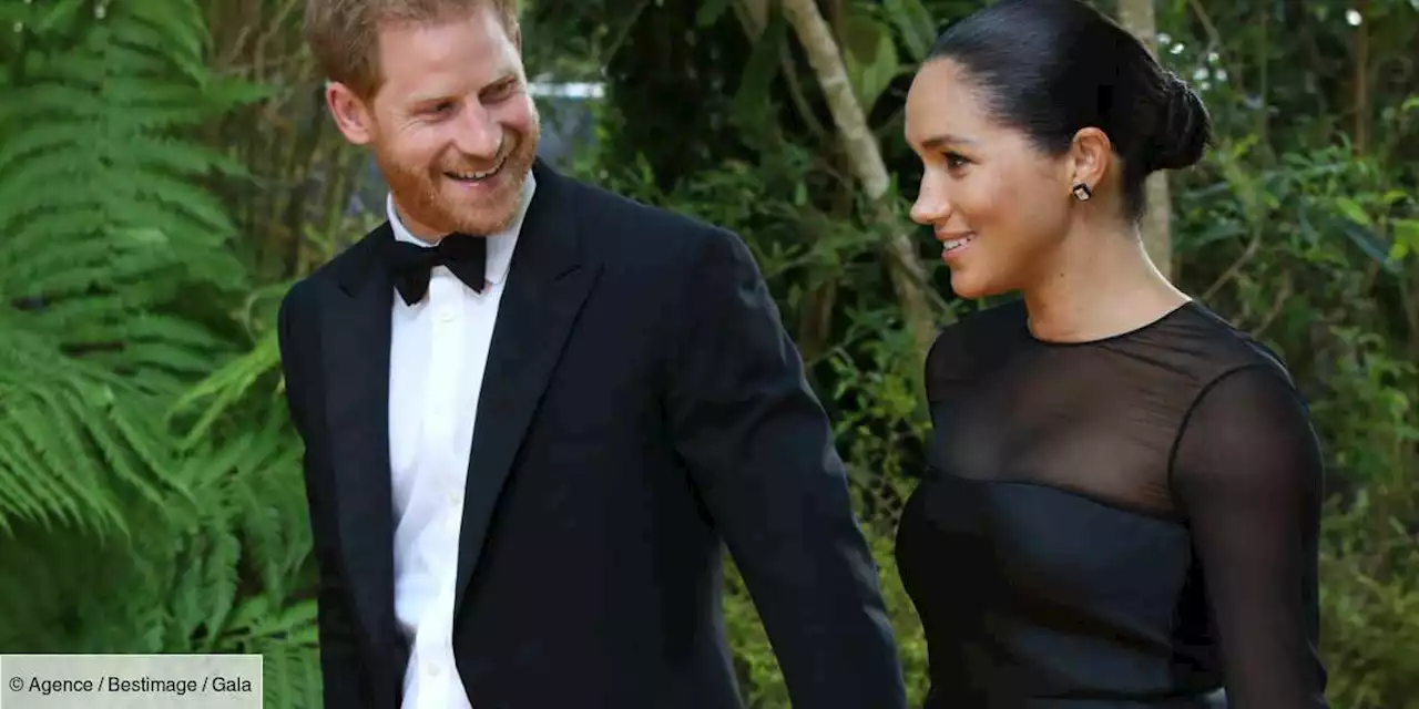 Titres de Archie et Lilibet : “Harry et Meghan veulent le beurre et l’argent du beurre !” - Gala