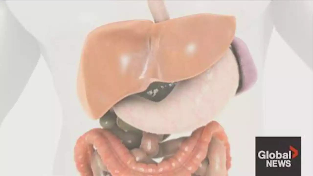 Liver Health Month: How to prevent liver disease | Watch News Videos Online