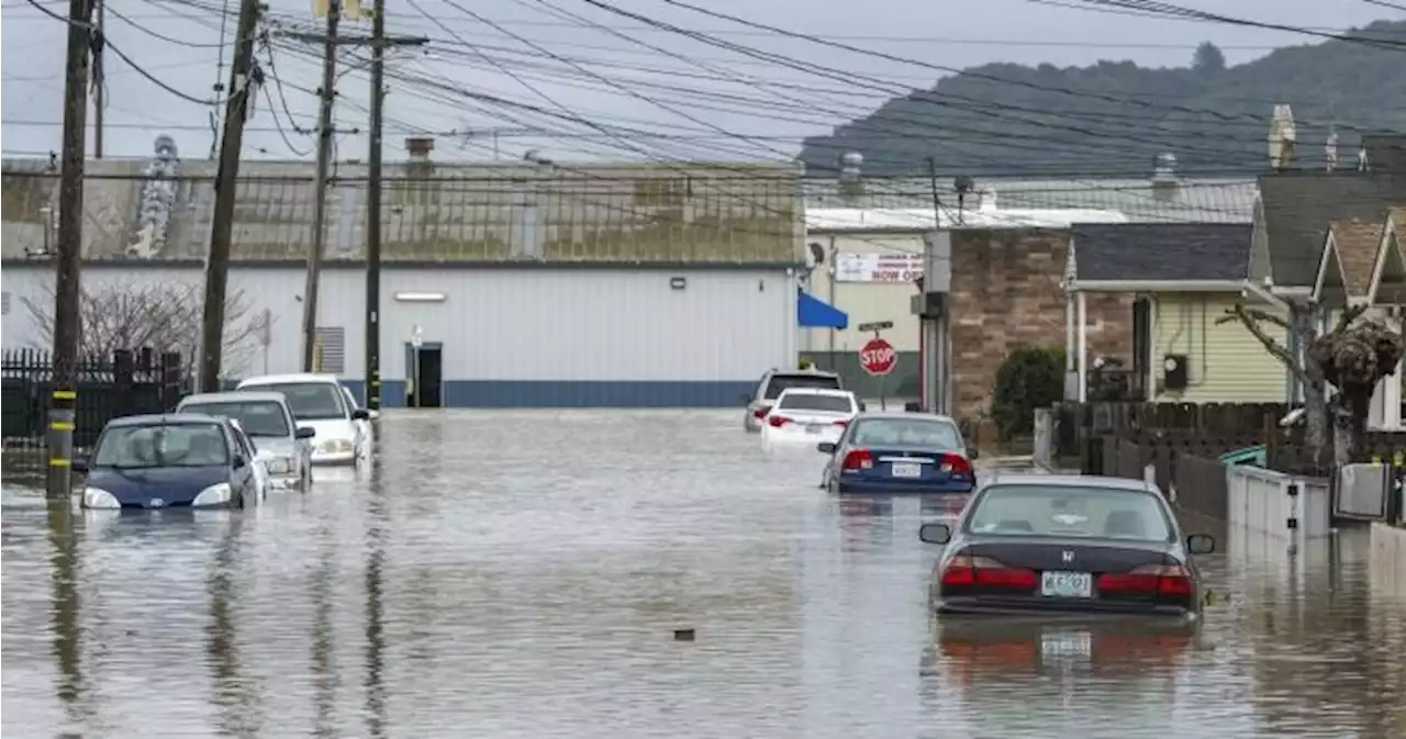 California braces for another onslaught of rain, snow after massive floods - National | Globalnews.ca