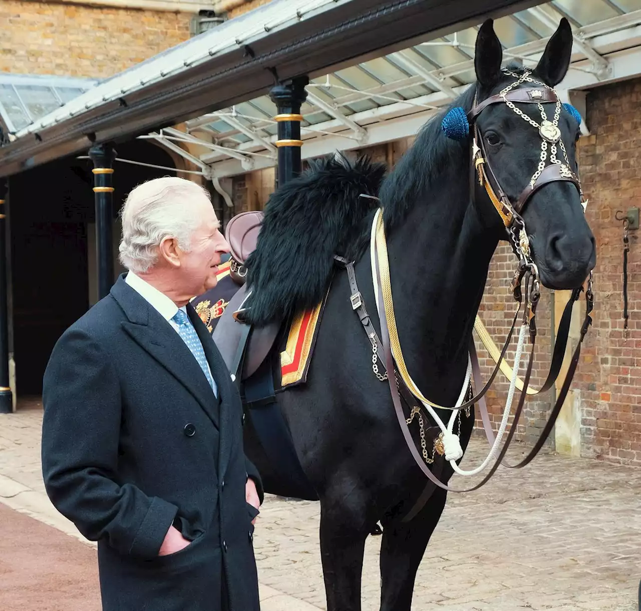 RCMP gifts musical ride horse to King Charles ahead of upcoming coronation