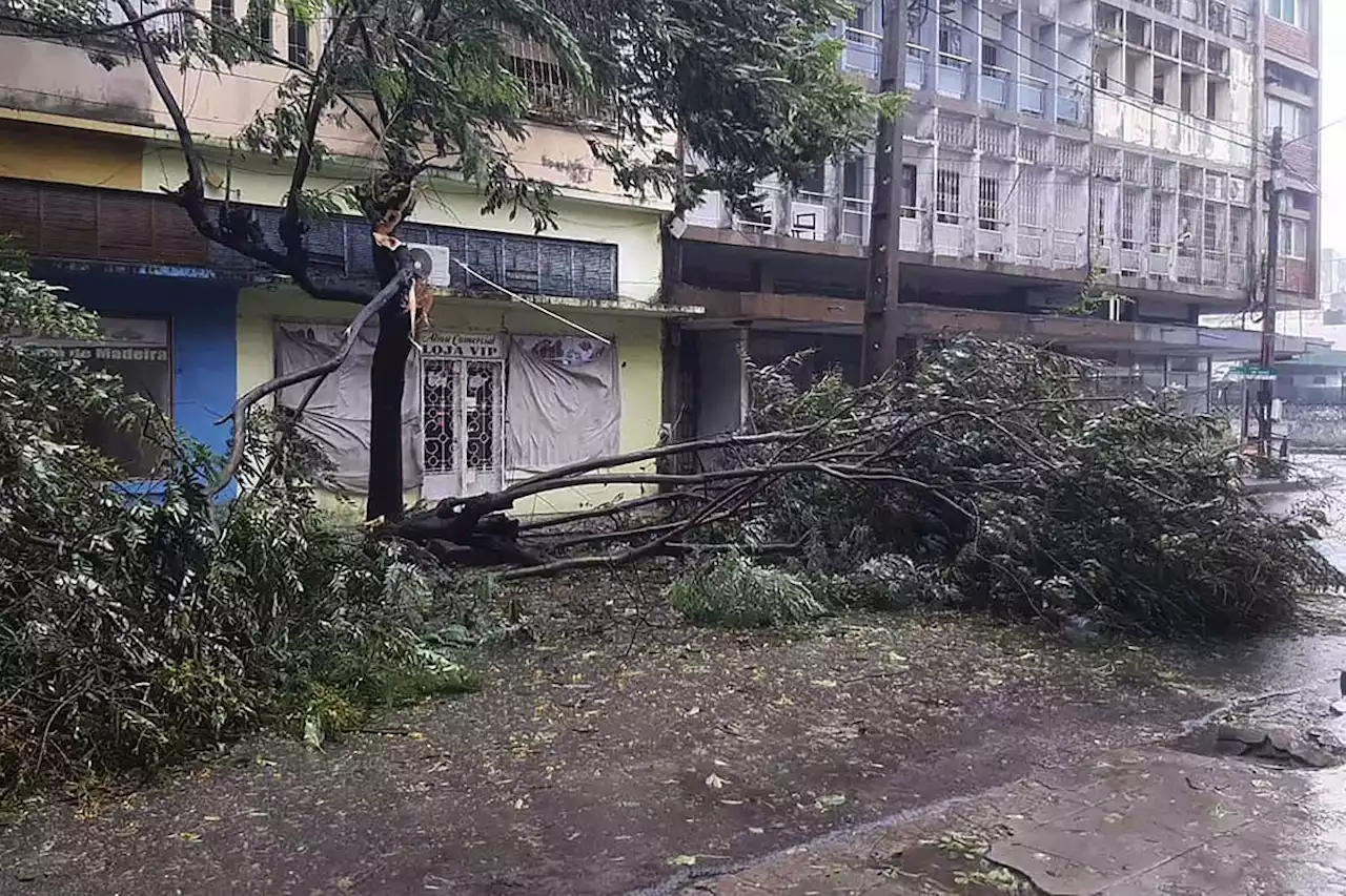 Tropical Cyclone Freddy hits Mozambique for second time