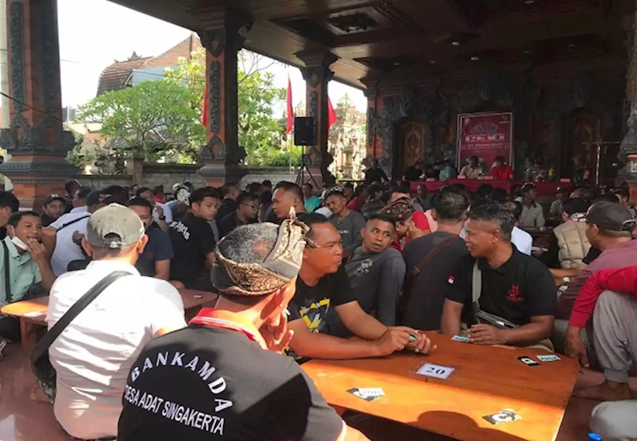 Turnamen Ceki di Ubud Dikawal Polisi, Ternyata Ini Tujuannya!