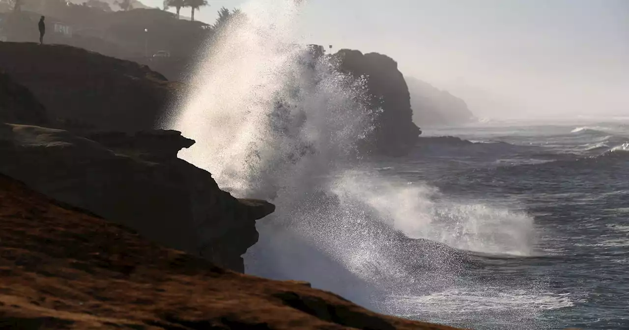 Smuggling boat tragedy: 8 dead, 7 missing off San Diego coast