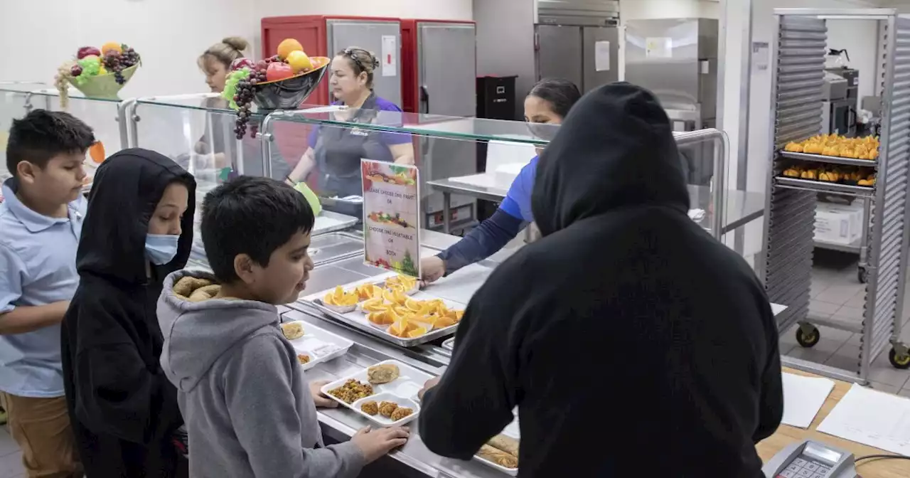 'It's hard to focus': Schools say American kids are hungry