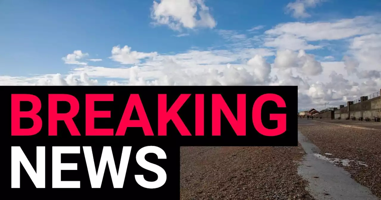 Woman's body believed to be missing person found on Sussex beach