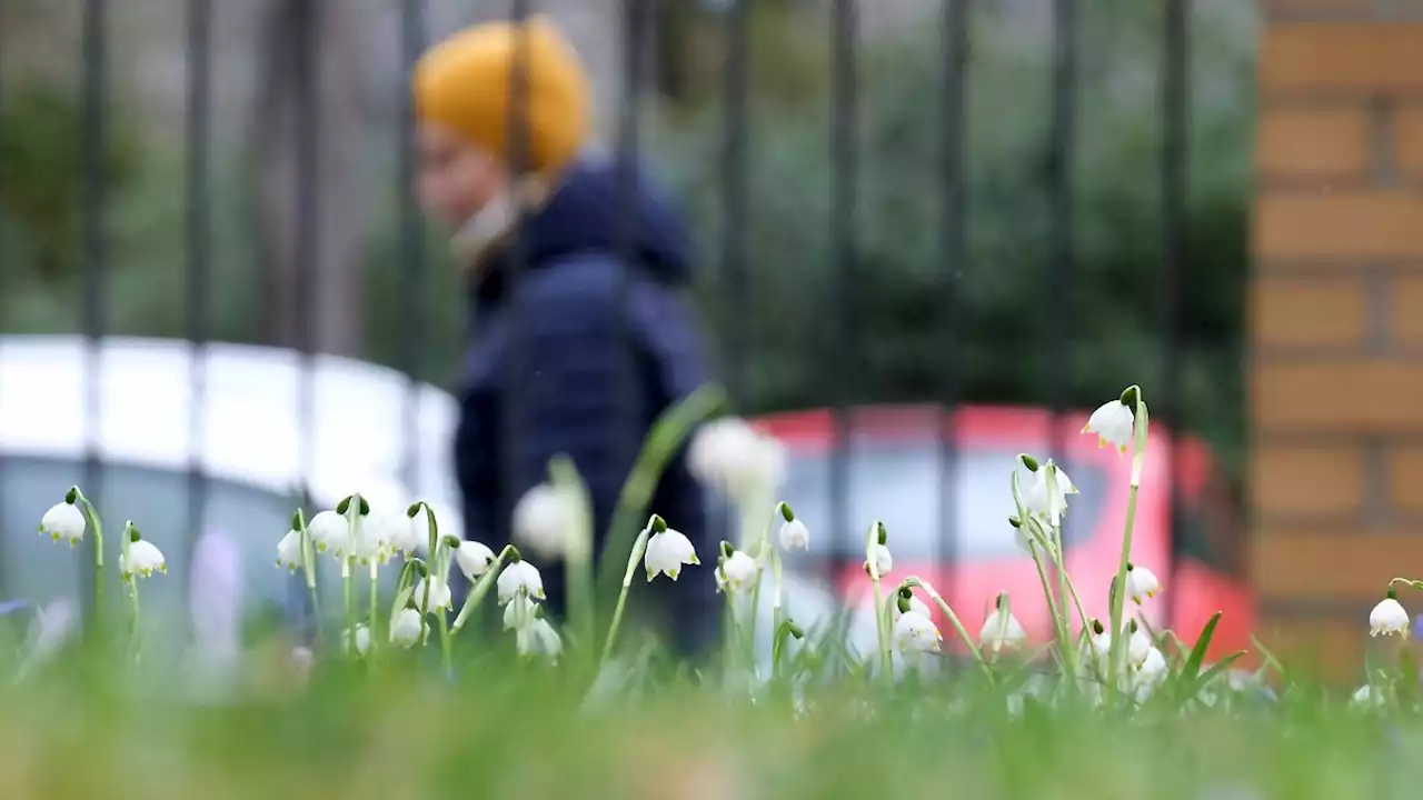 Frühling stürmt heran, Winter zuckt nochmal