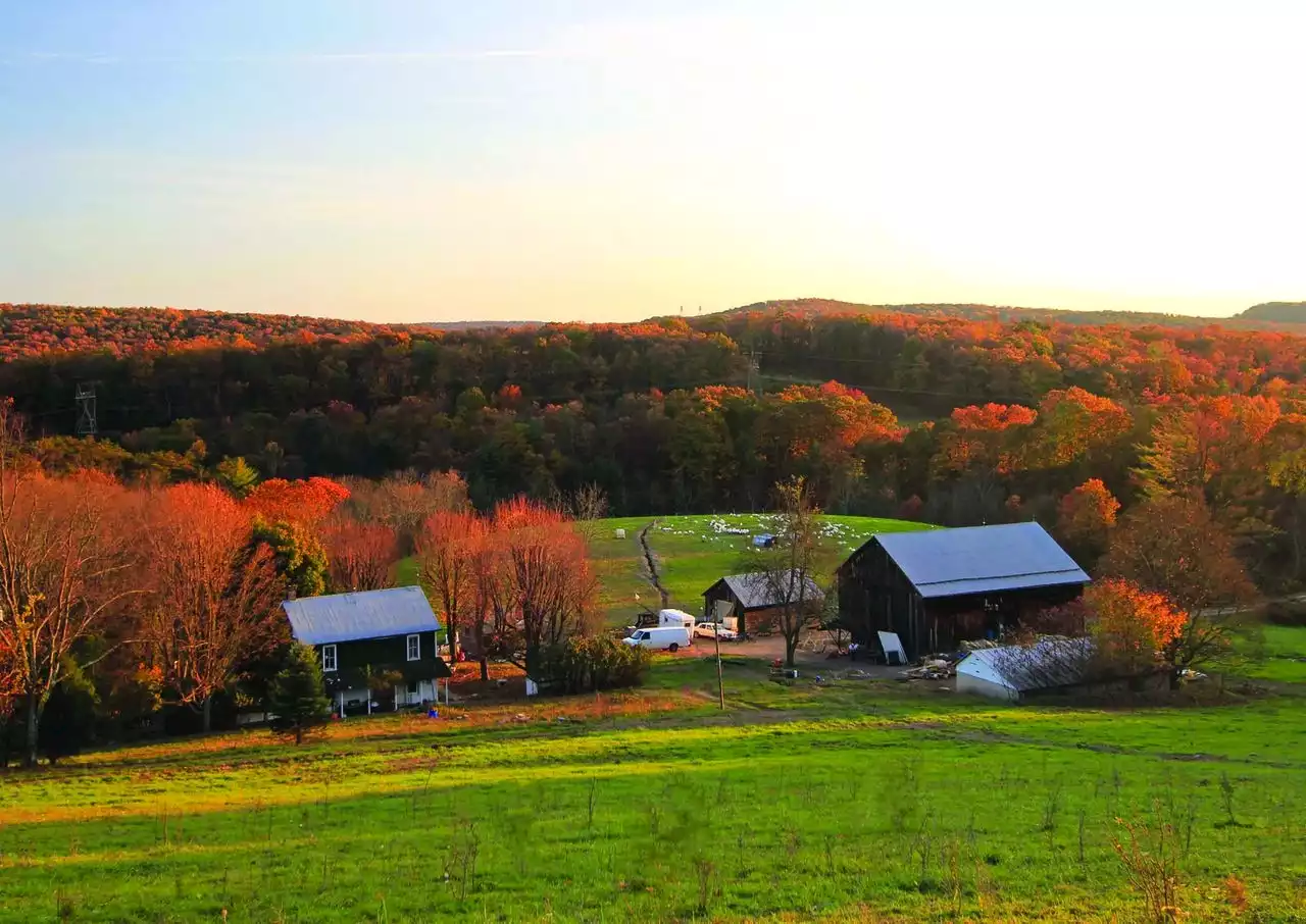 Opportunities grow at central Pa. farm with state grant