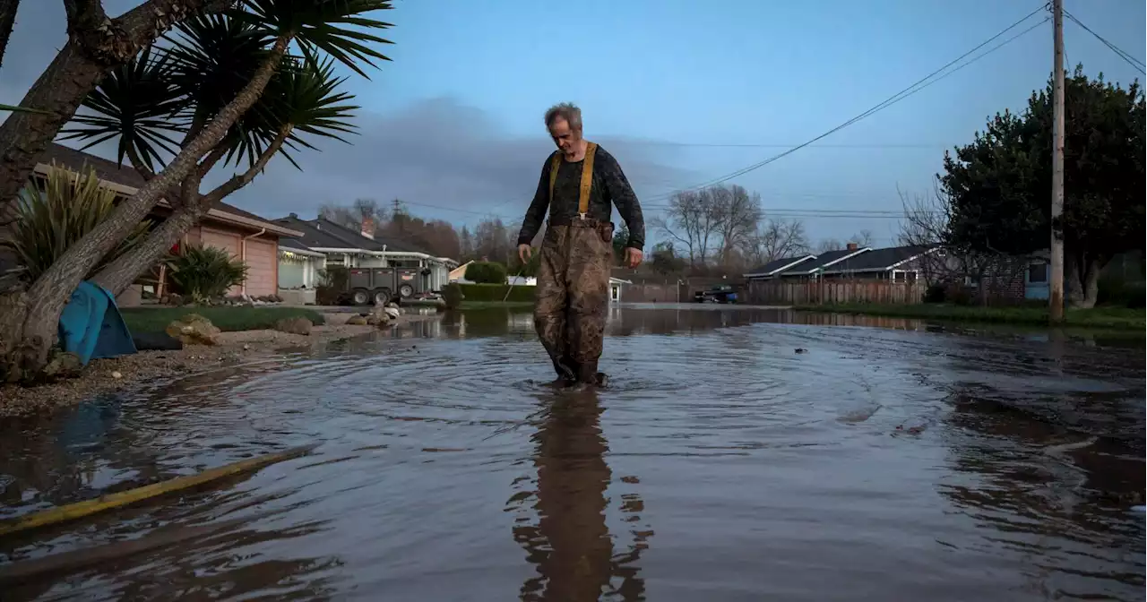 Storm breaches California river's levee, hundreds evacuate