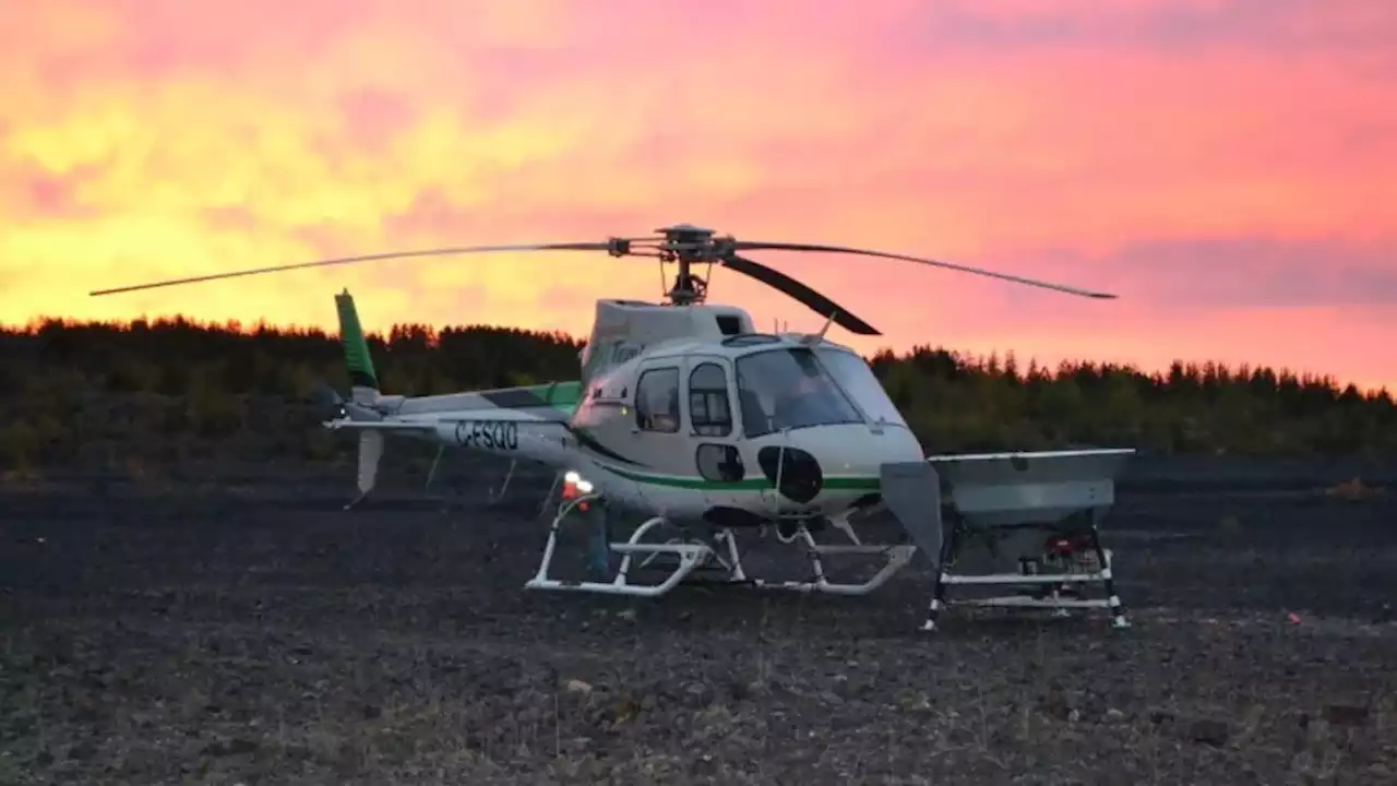 Vale inspecting high voltage lines over Sudbury by helicopter