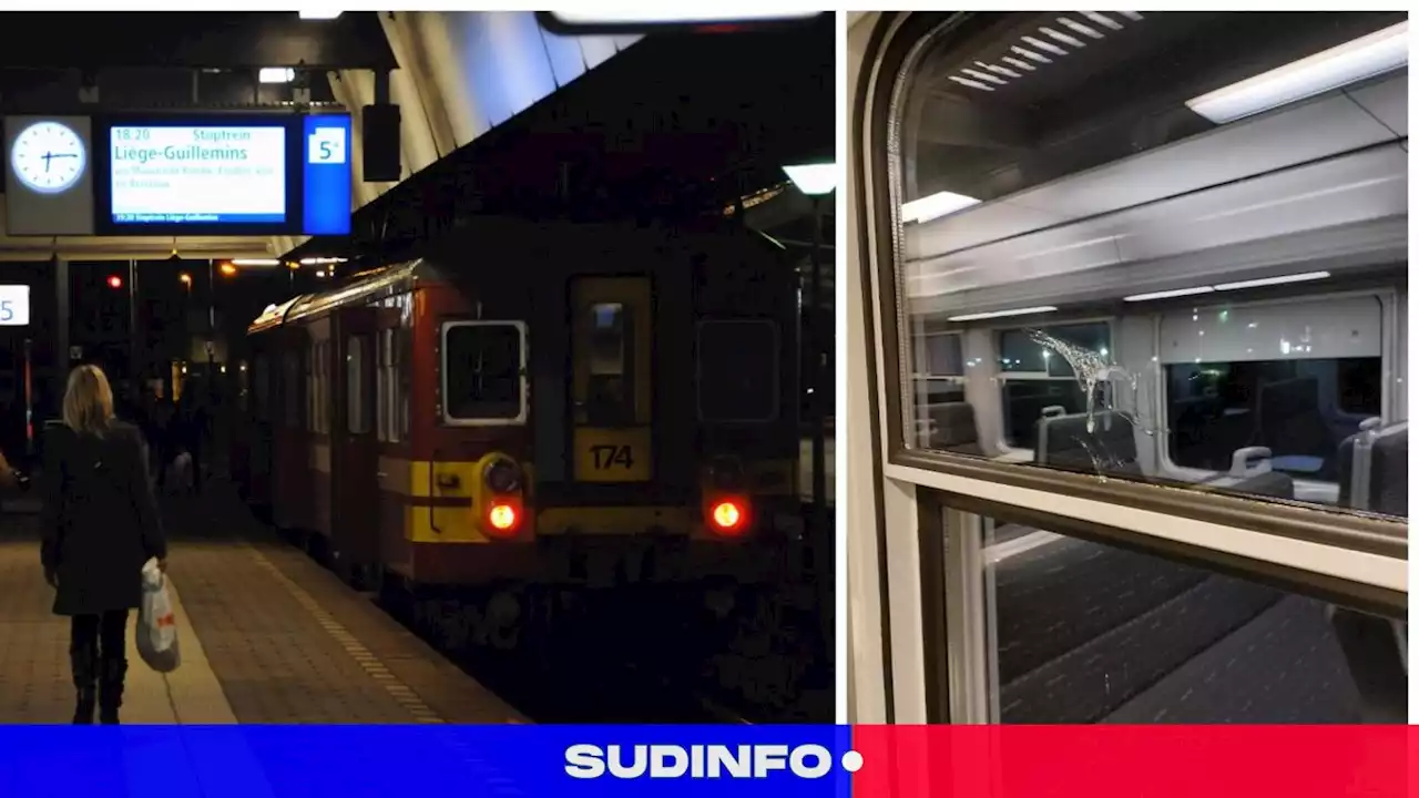 Scandaleux dans le train Maastricht-Liège: une étudiante liégeoise subit, durant plusieurs minutes, les crachats d’adolescents, «un comportement intolérable!» (photos)