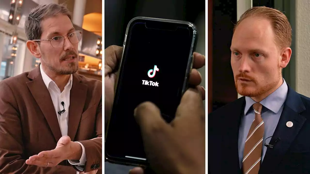 SD: ”Tiktok-förbud är inget som vi kan utesluta – tvärtom”