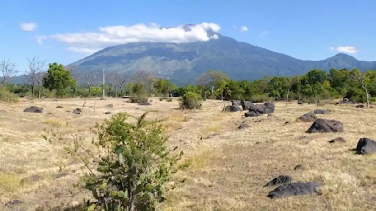 Mengenal Wisata Tempat Wisata di Bali, Savana Tianyar: Harga Tiket Masuk, Jam Buka, dan Lokasi