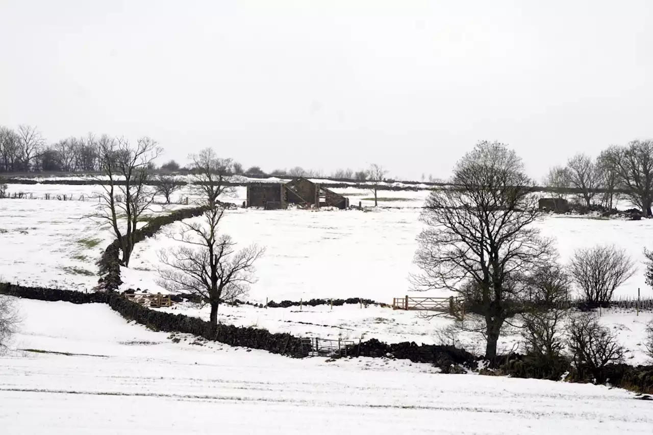 Arctic temperatures relent temporarily as powerful winds expected across UK