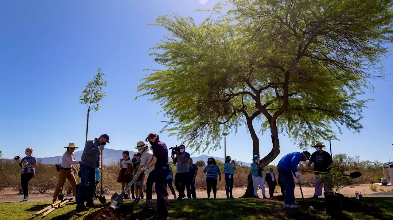 Climate action plan envisions transforming Tucson's way of life