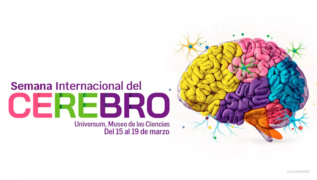 Semana Internacional del Cerebro 2023 - Universum, Museo de las Ciencias de la UNAM - DGDC, UNAM