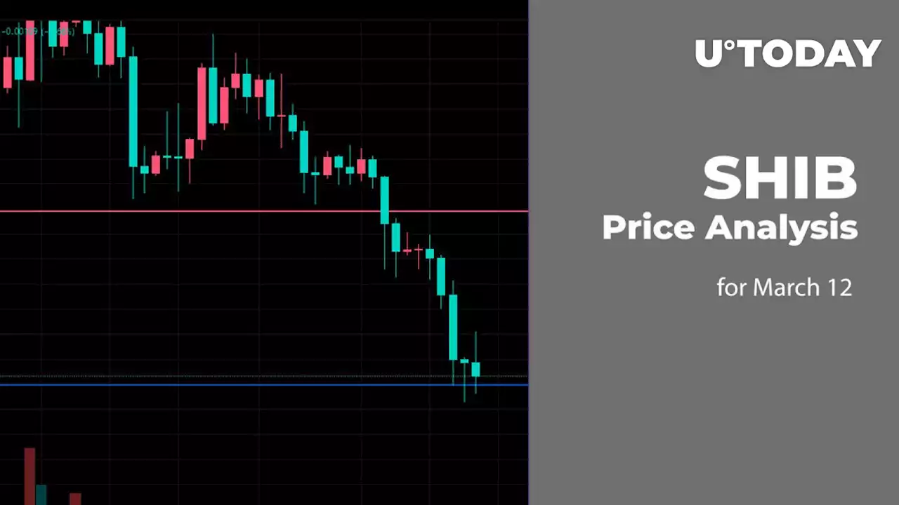 SHIB Price Analysis for March 12