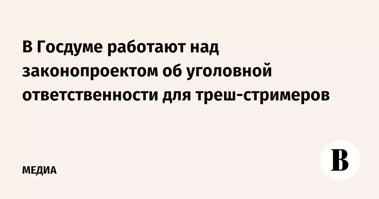 В Госдуме работают над законопроектом об уголовной ответственности для треш-стримеров