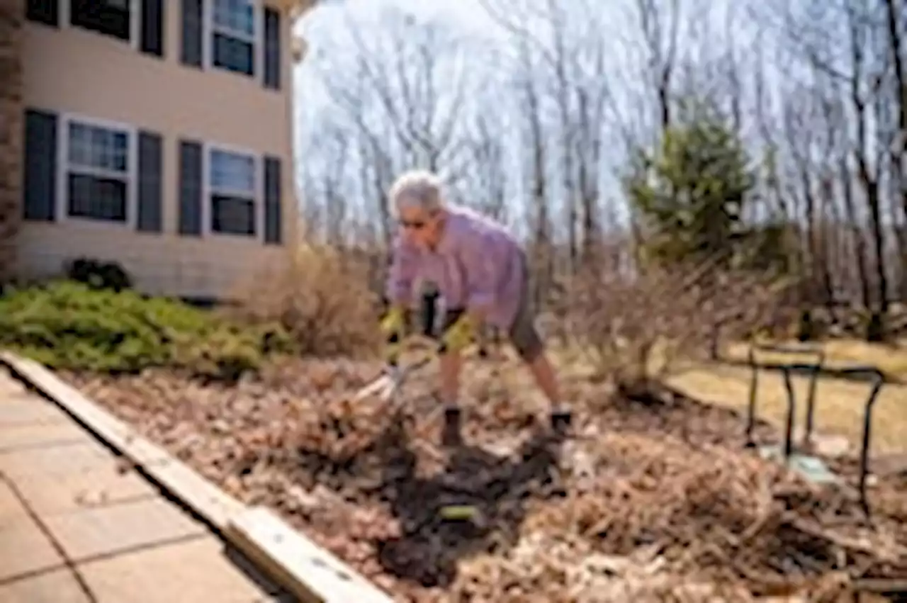 The case for a (somewhat) messy spring garden