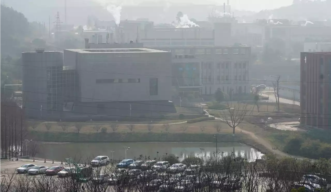 Congress shows seismic shift on Wuhan lab likely causing the COVID-19 pandemic