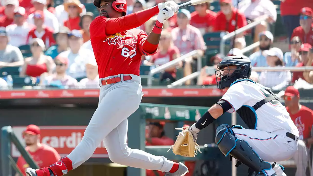 Fantasy Baseball 2023: Top MLB prospects to draft and stash