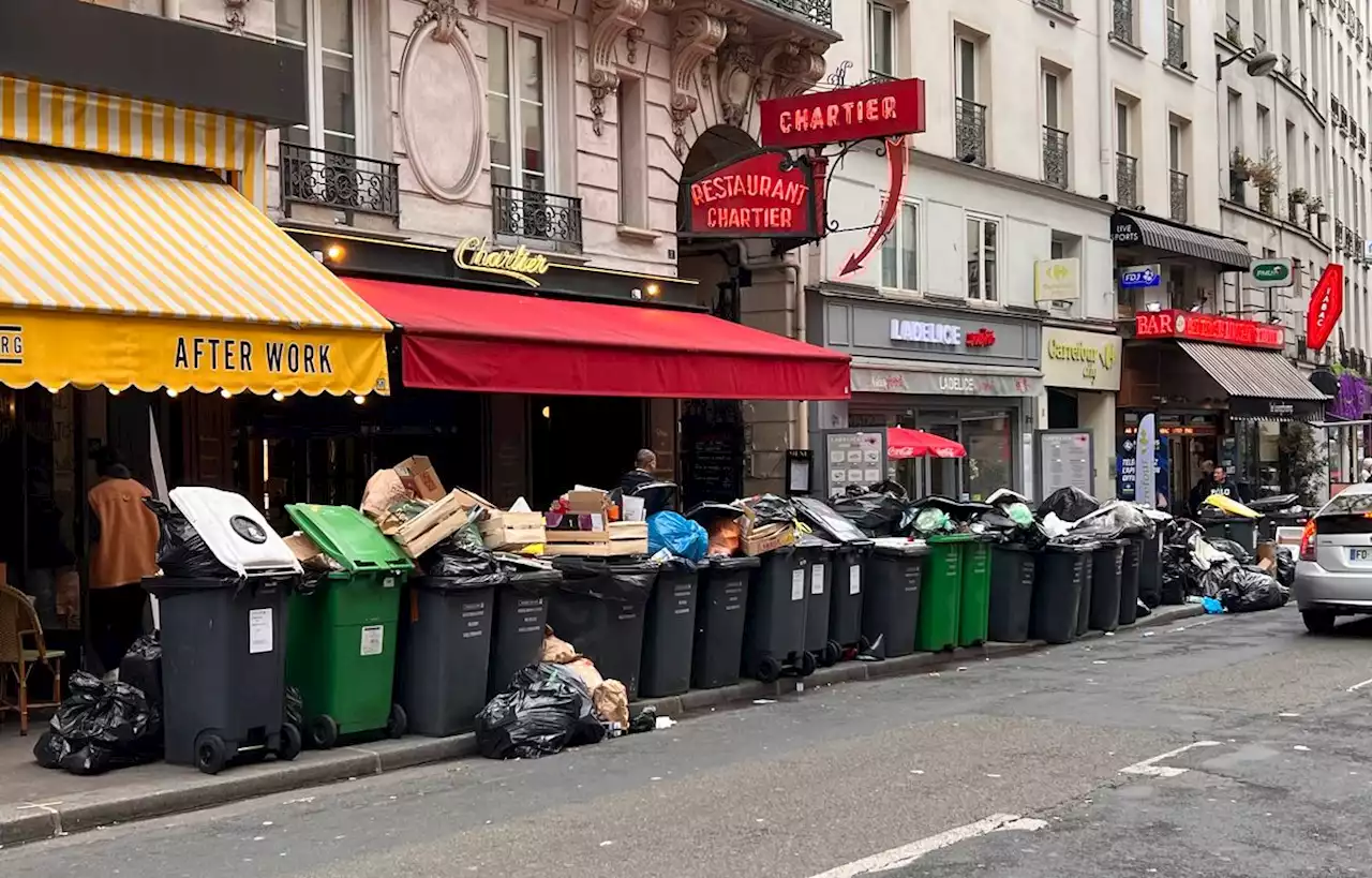 Sur le balcon ou dans la cour, ce que les Parisiens font de leurs poubelles