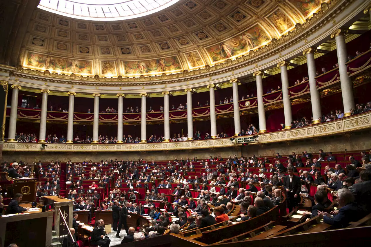 Article 49.3 : un député demande sa suppression de la Constitution